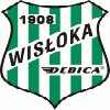 Wisłoka Dębica